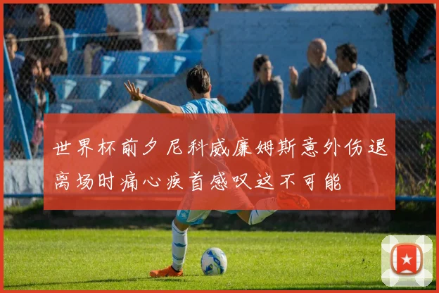 世界杯前夕尼科威廉姆斯意外伤退离场时痛心疾首感叹这不可能