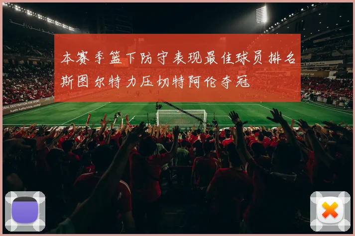 本赛季篮下防守表现最佳球员排名斯图尔特力压切特阿伦夺冠