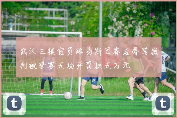武汉三镇官员路易斯因赛后辱骂裁判被禁赛五场并罚款五万元
